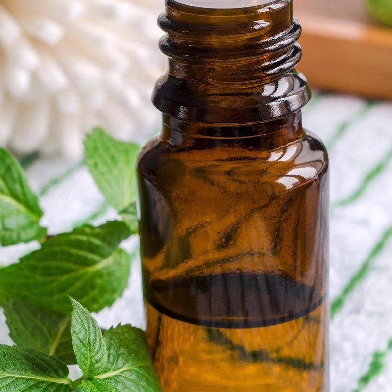 商品Source Vital Apothecary|Peppermint Essential Oil 0.4 FL. OZ.,价格¥114,第2张图片详细描述