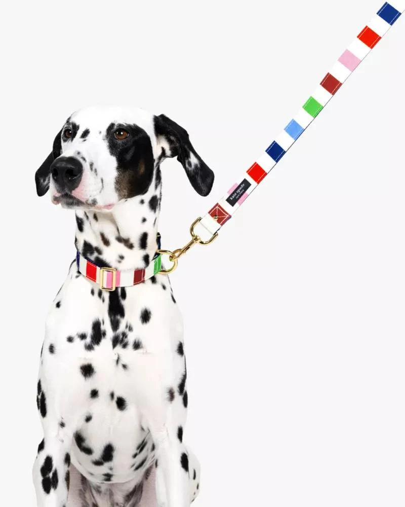 商品Kate Spade|Adventure Stripe Collar S/M,价格¥214,第3张图片详细描述