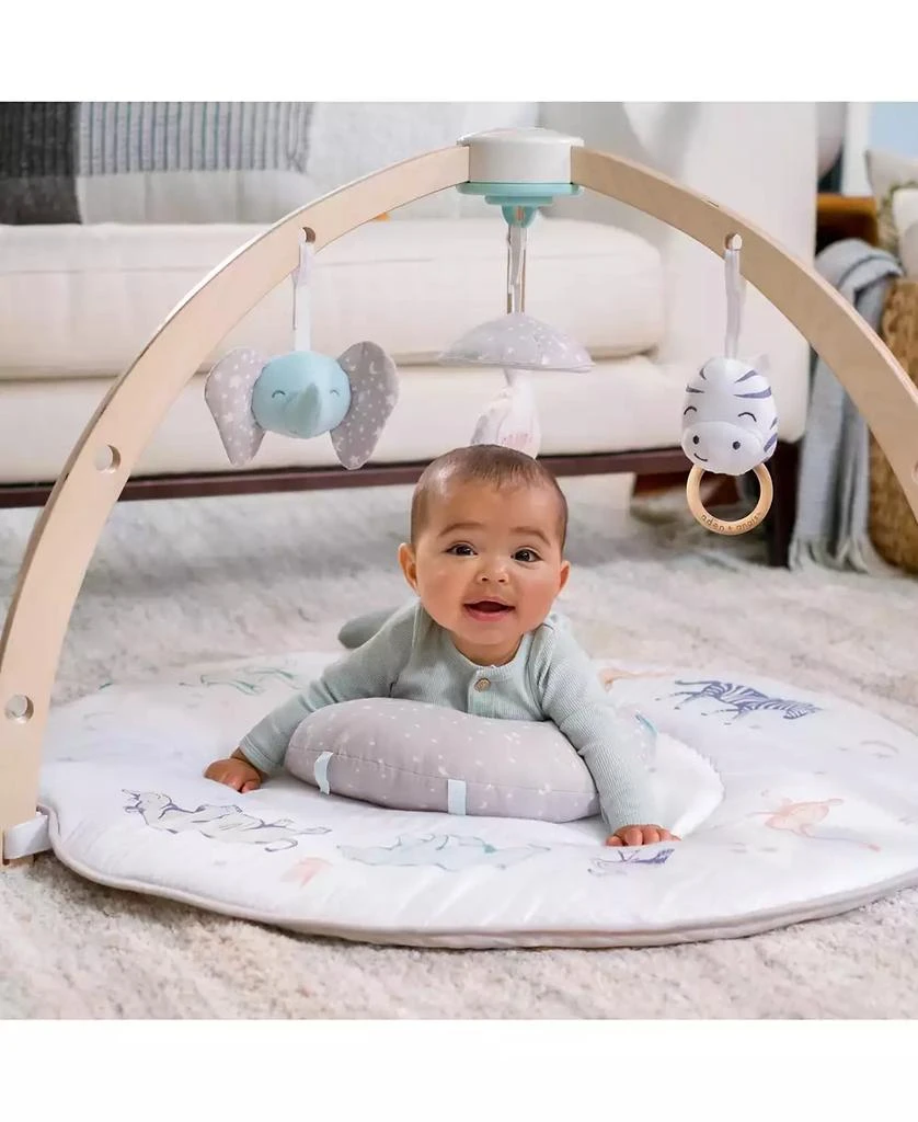 商品aden + anais|Activity Gym,价格¥748,第3张图片详细描述