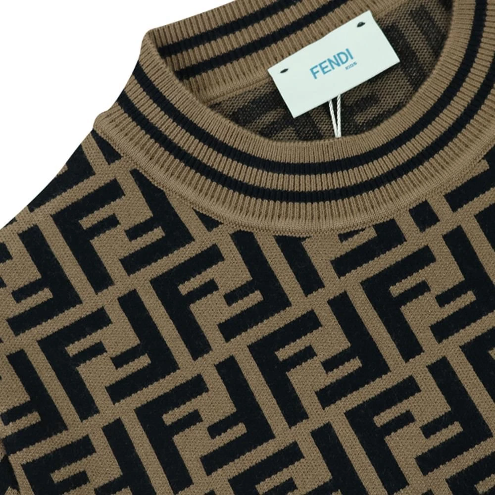 商品Fendi|Brown Knitted Short Sleeve Sweater,价格¥4672,第2张图片详细描述