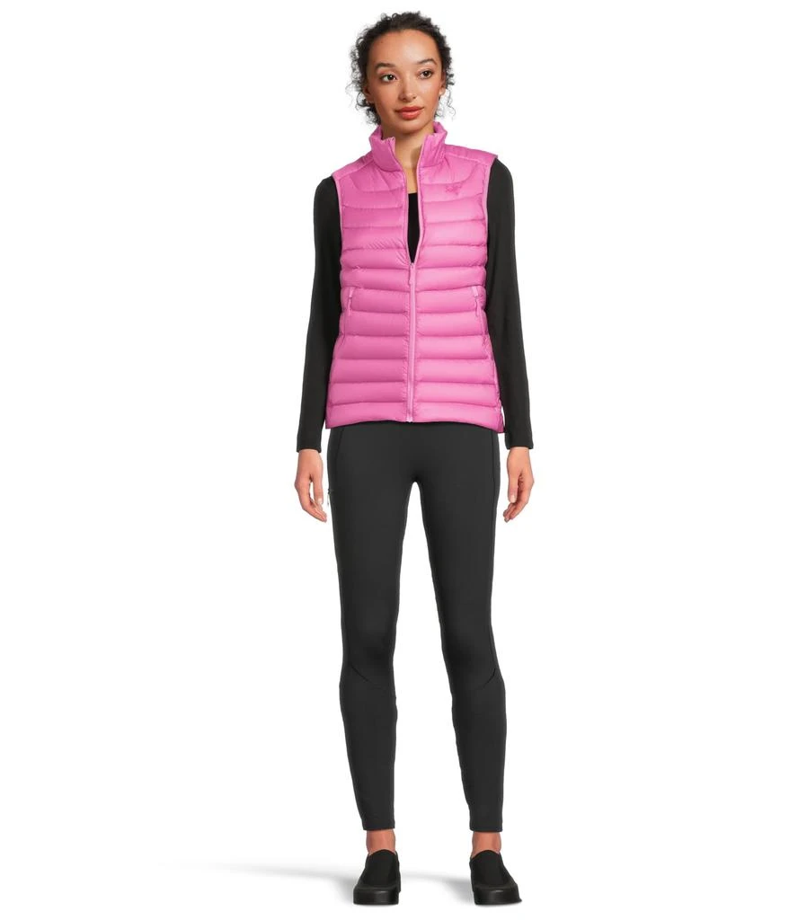 商品Arc'teryx|Cerium Vest,价格¥2049,第5张图片详细描述