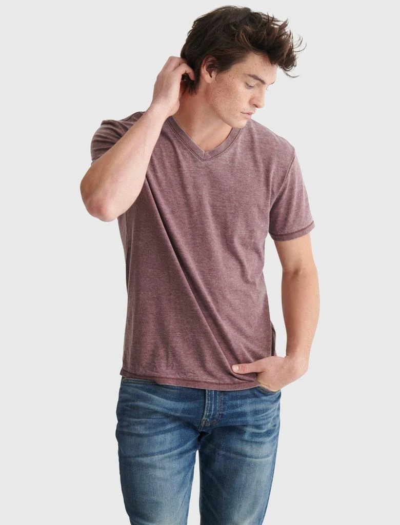 Mens Venice Burnout V-Neck Tee. 商品