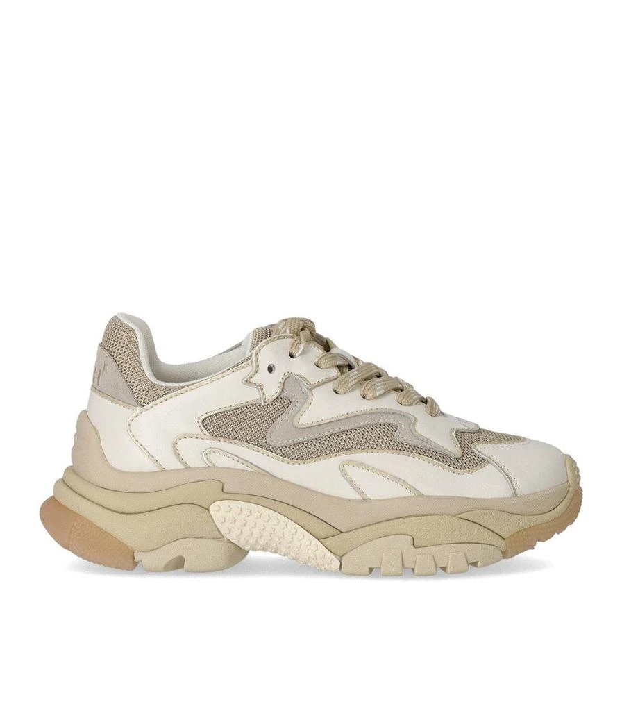 商品Ash|Ash Addict White Beige Sneaker,价格¥2520,第1张图片