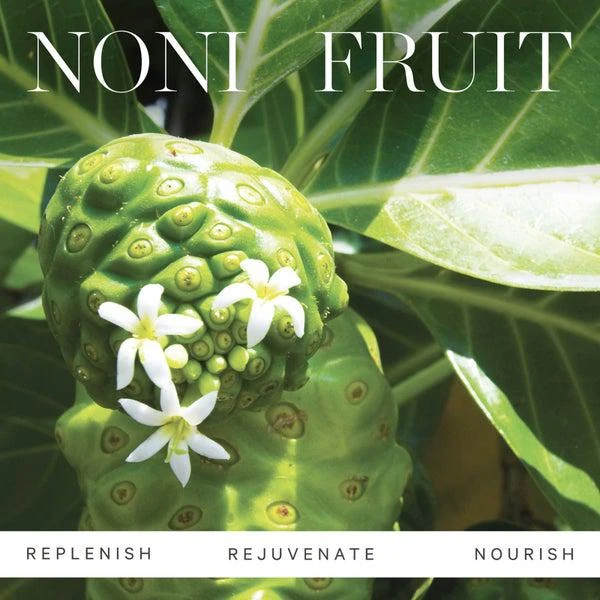 Kora Organics Noni Glow Body Oil 100ml 商品