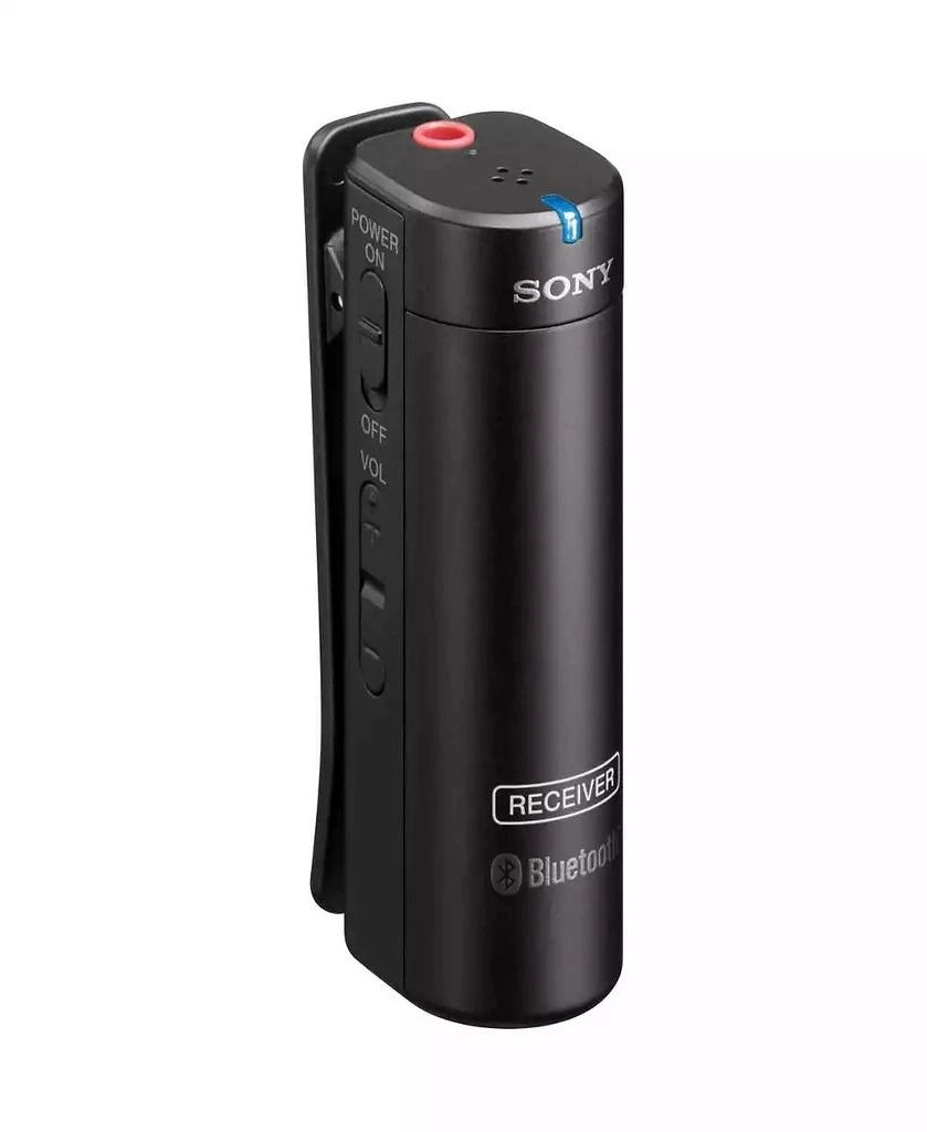 ECM-AW4 Bluetooth Wireless Microphone System 商品