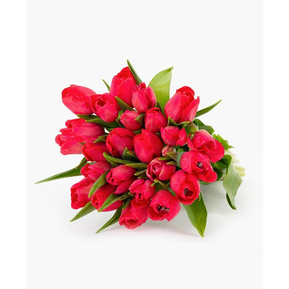 商品BloomsyBox|Radiant Red Tulips Fresh Flower Bouquet,价格¥413,第4张图片详细描述