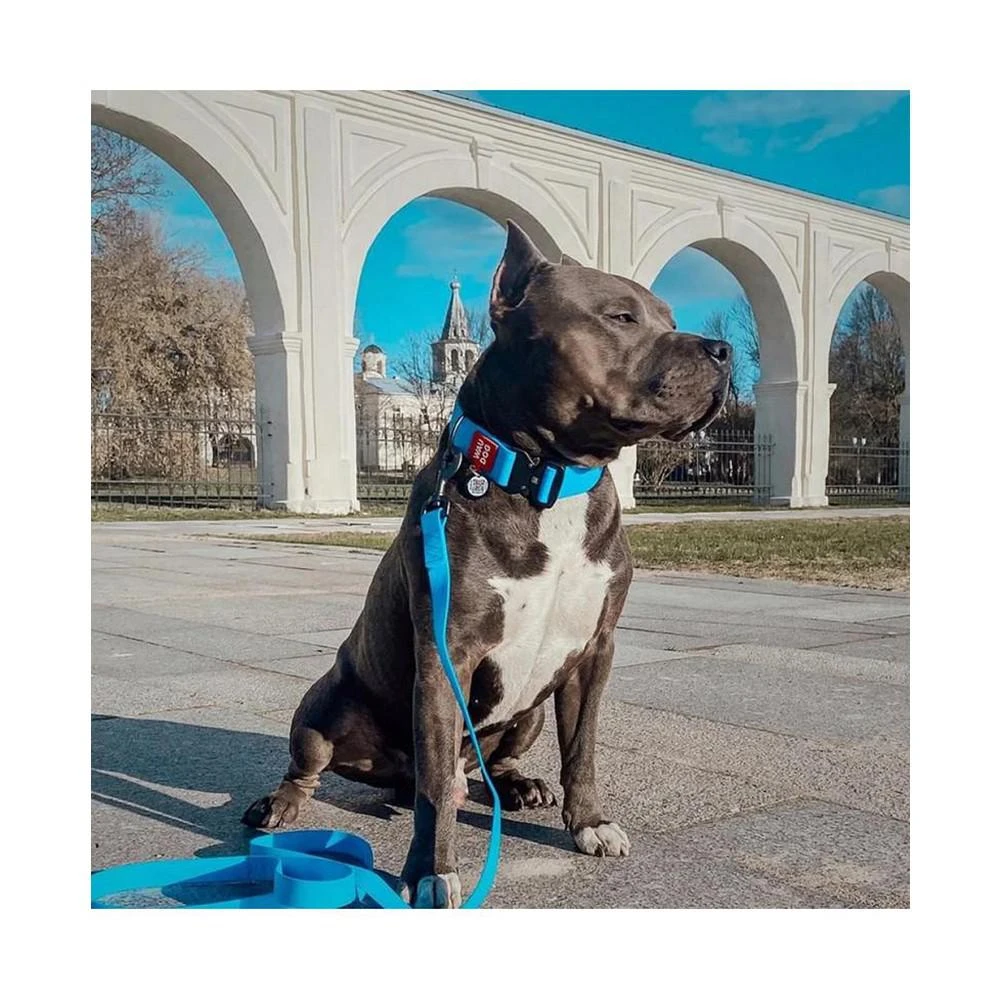 商品Waudog|Waterproof dog leash, W 20 mm, L 183 cm blue,价格¥223,第3张图片详细描述