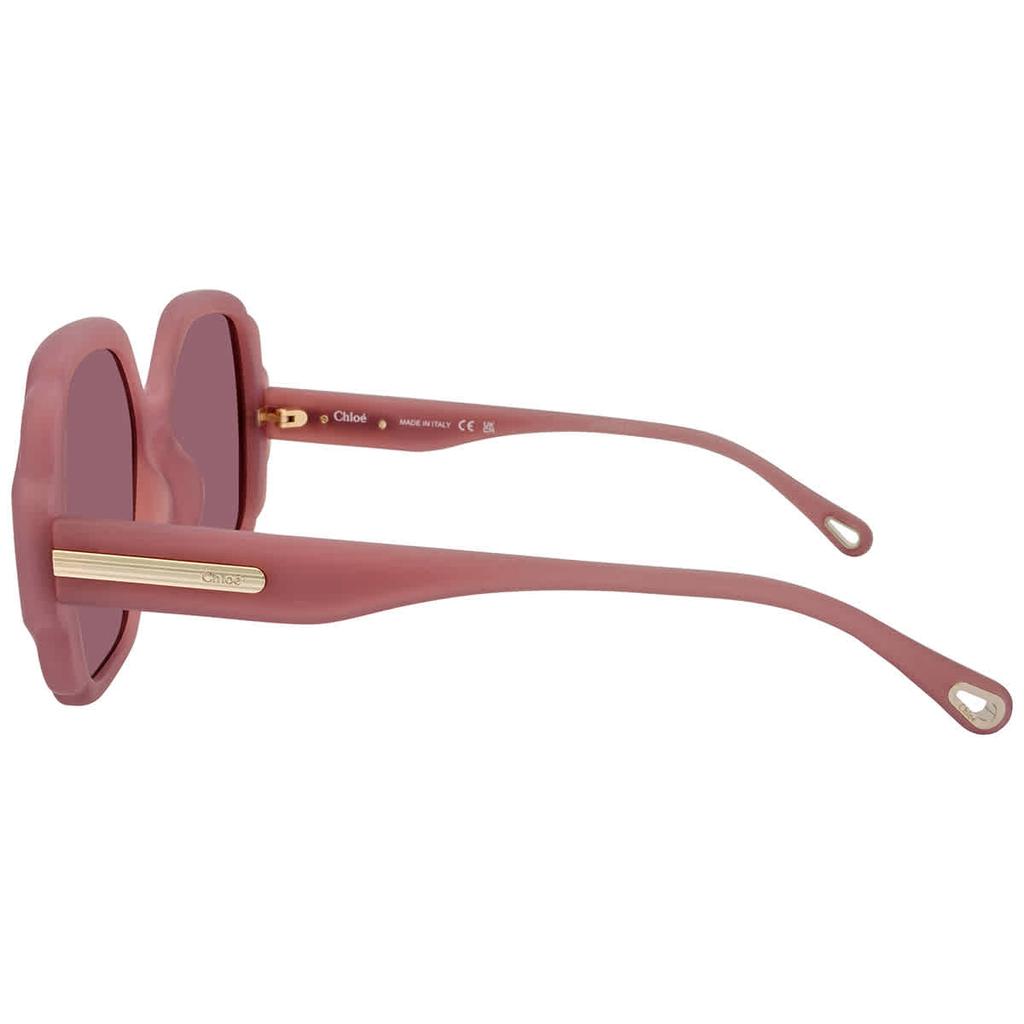 Chloe Pink Square Ladies Sunglasses CH0121S 003 55商品第3张图片规格展示