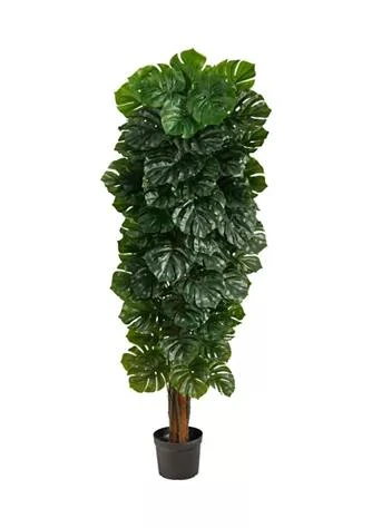 商品NEARLY NATURAL|Natural 70In. Monstera Artificial Tree Indoor Outdoor,价格¥3069,第1张图片