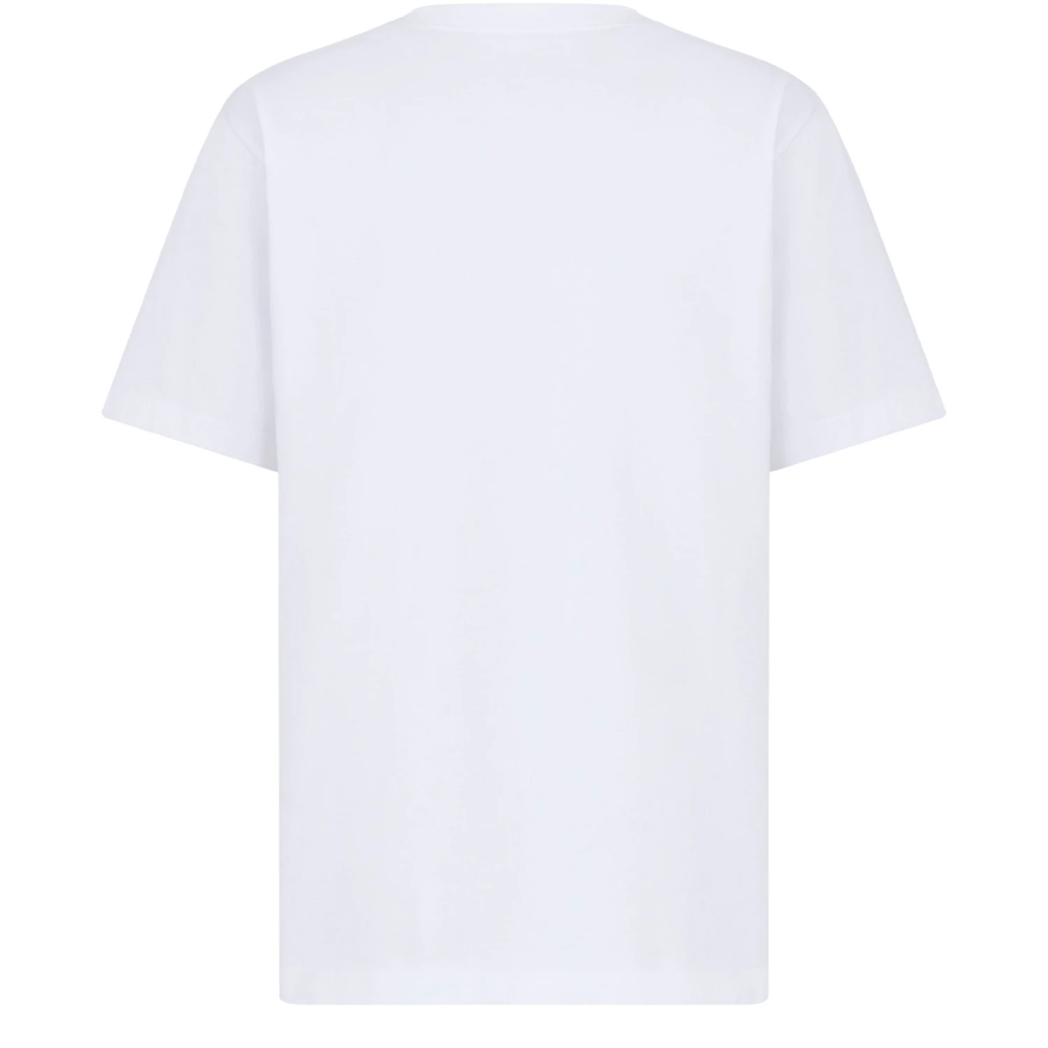 【预售】 男士 短袖T恤 宽松版型 T 恤  513J696D0554/C088 DIOXV5B2WHT 商品