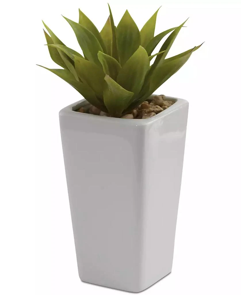 商品NEARLY NATURAL|3-Pc. Mini Agave Artificial Plant Set in White Planters,价格¥504,第2张图片详细描述