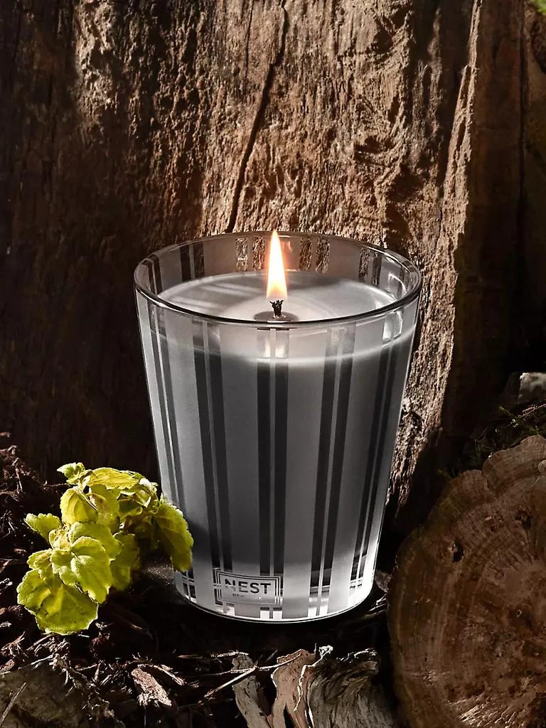 商品NEST New York|Charcoal Woods Classic Candle,价格¥304,第3张图片详细描述