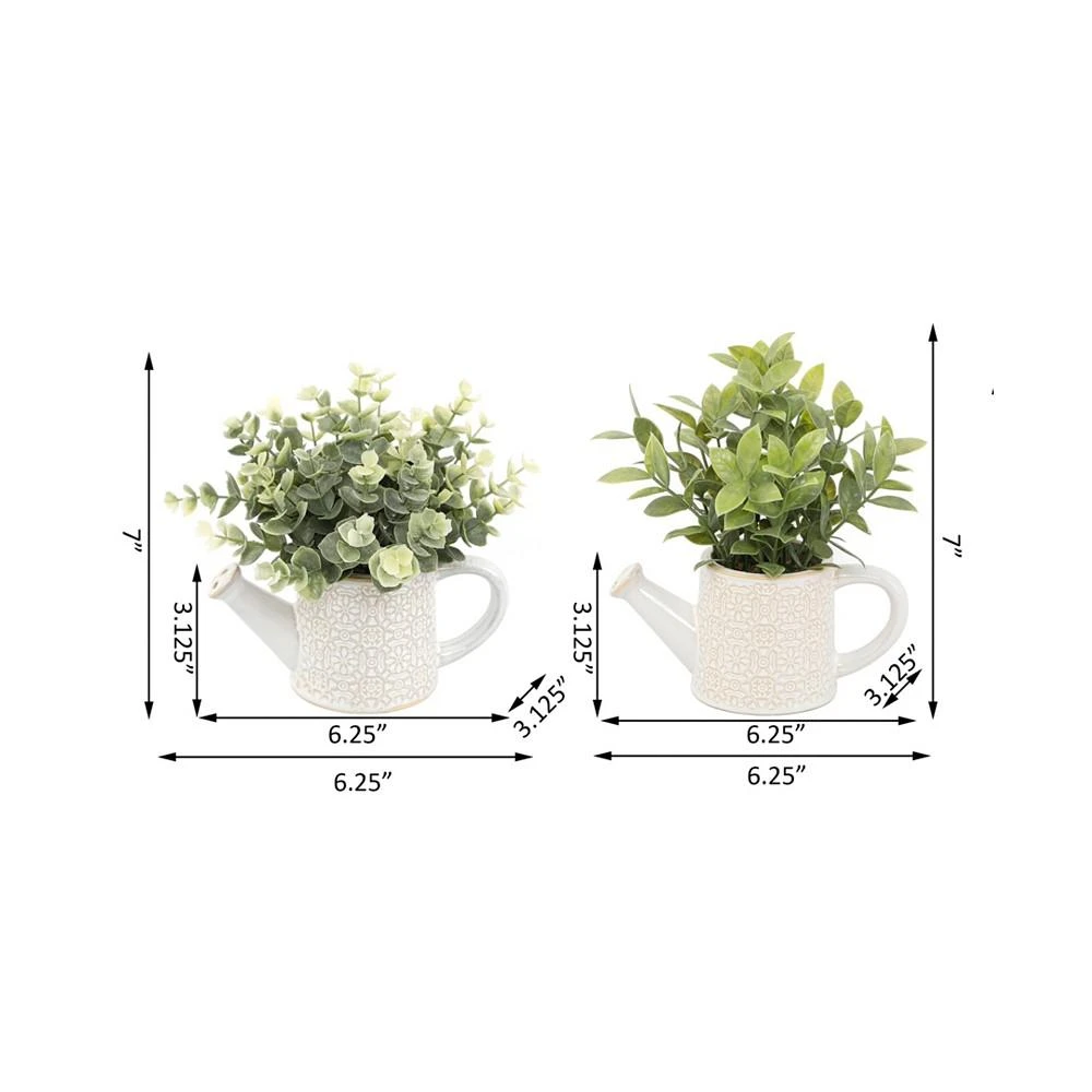商品Flora Bunda|Eucalyptus Tea Leaf in Cathedral Watering Can Set, 2 Piece,价格¥268,第2张图片详细描述