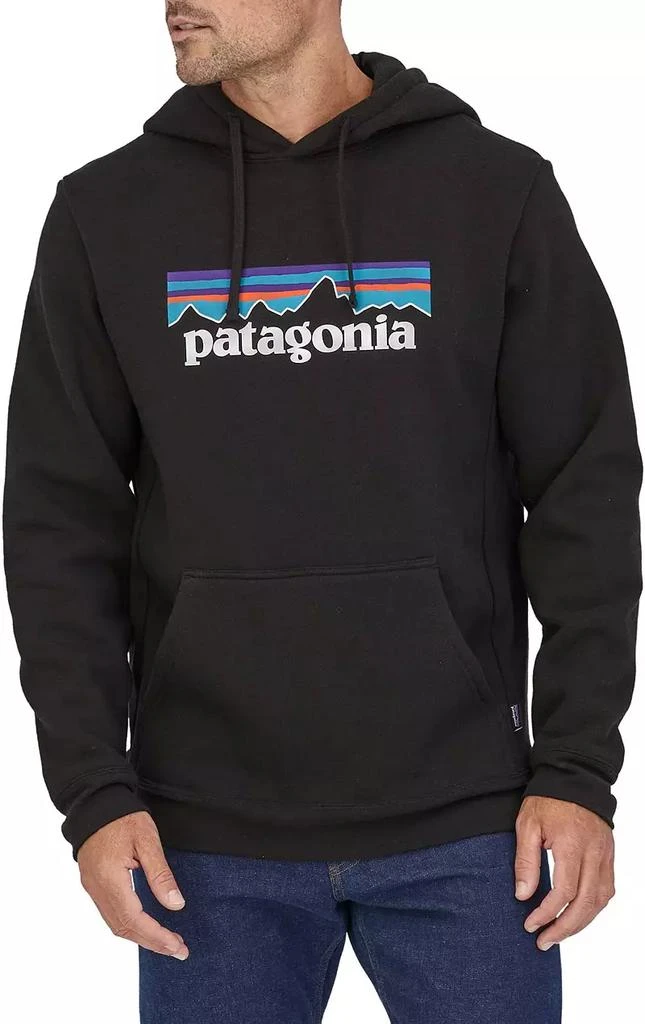 商品Patagonia|男士连帽套头衫,价格¥723,第1张图片详细描述