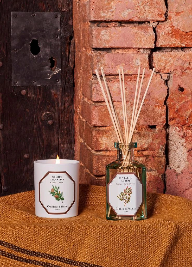 商品Carriere Freres|Fragrance diffuser Sandalwood - Santalum Album 200 ml,价格¥607,第4张图片详细描述