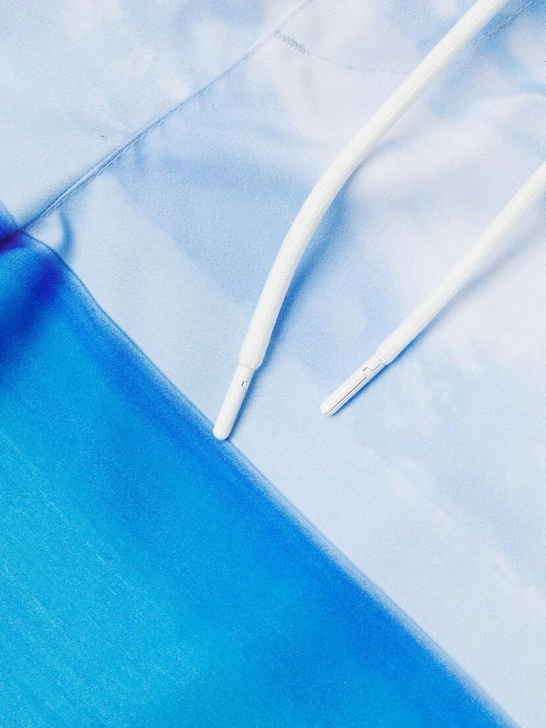 Ipanema Swim Shorts 商品