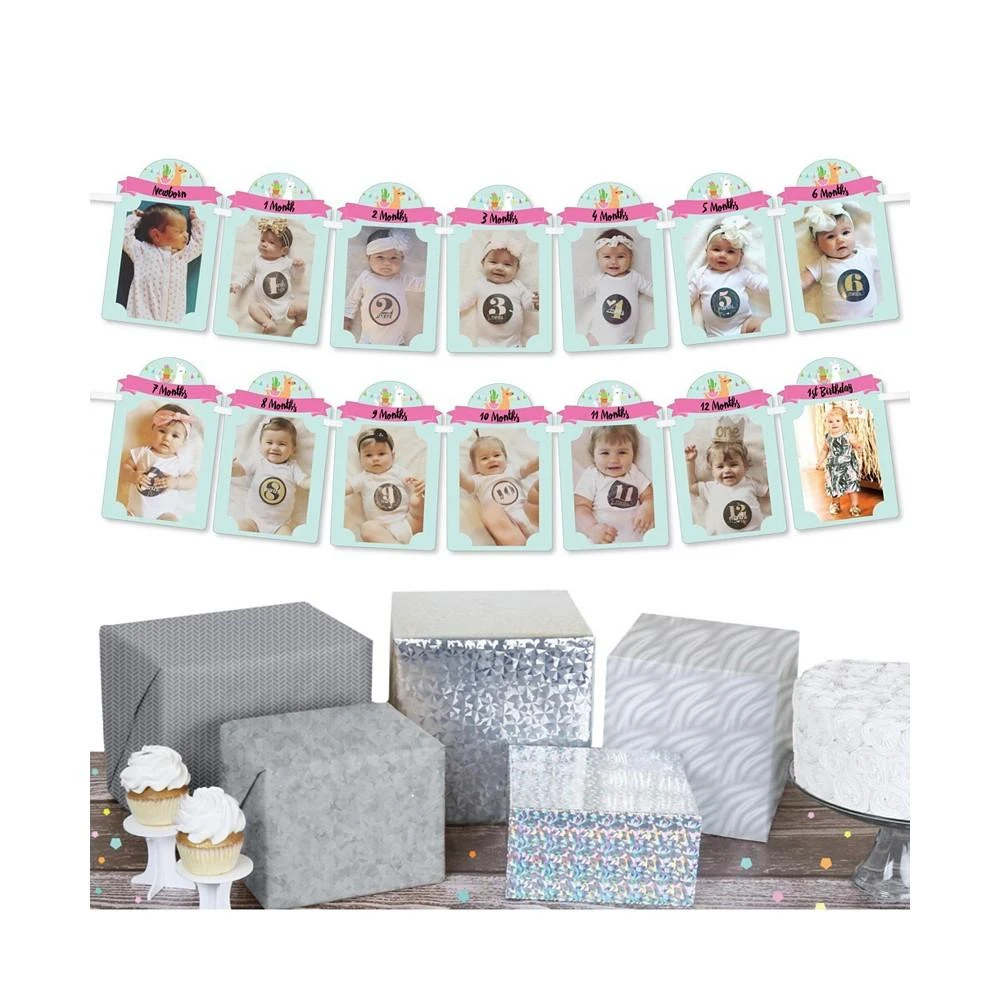 商品Big Dot of Happiness|1st Birthday Whole Llama Fun - DIY Party Decor - Picture Display - Photo Banner,价格¥119,第2张图片详细描述