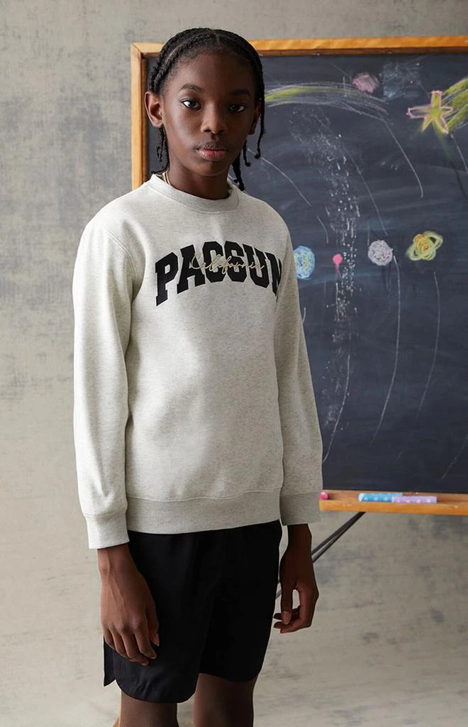 商品PacSun Kids|Crew Neck Sweatshirt,价格¥157,第3张图片详细描述