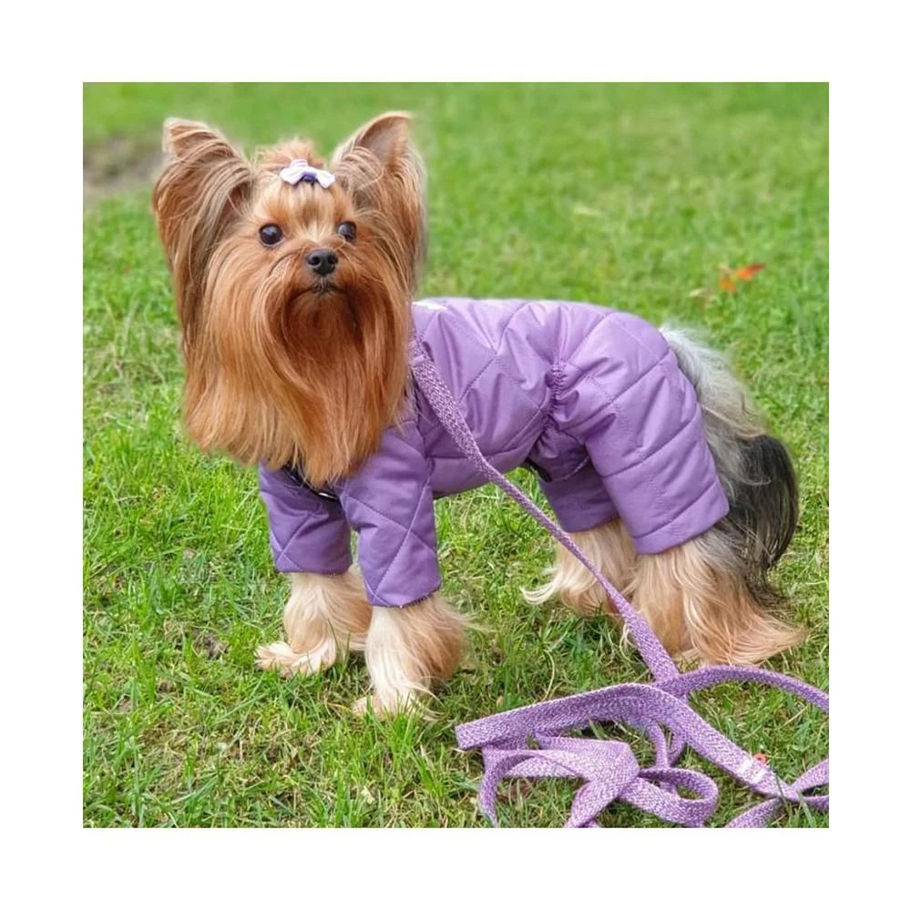 商品Waudog|Eco-Friendly Re-Cotton Leash For Dogs, reflective,价格¥164,第3张图片详细描述