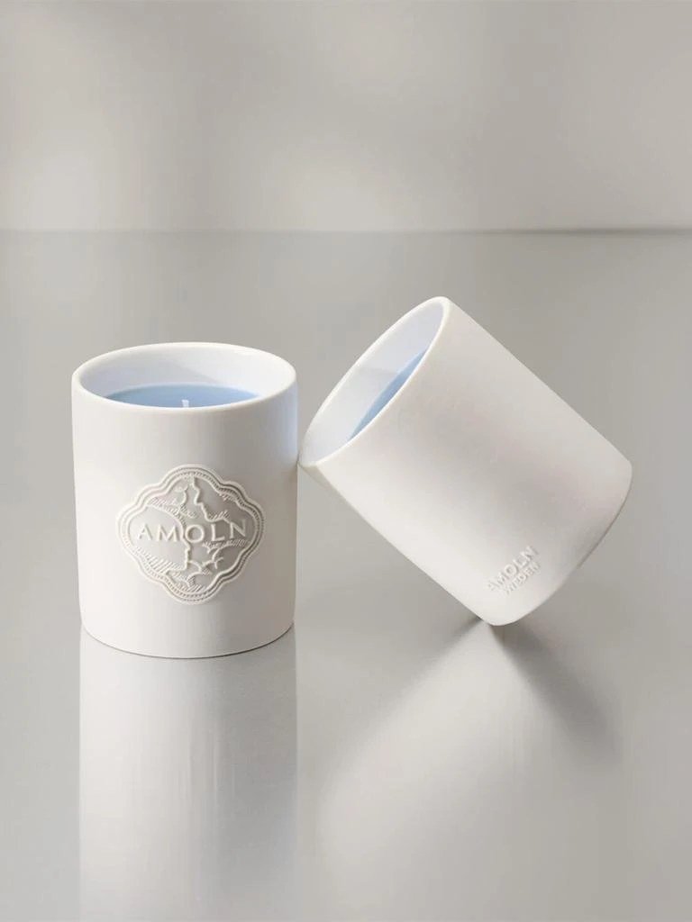 商品Amoln|320克Old Tjikko candle香氛蜡烛,价格¥889,第3张图片详细描述