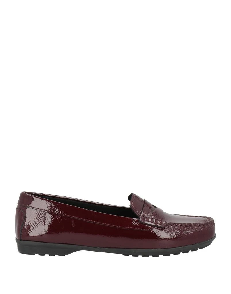 商品Geox|Loafers,价格¥743,第1张图片