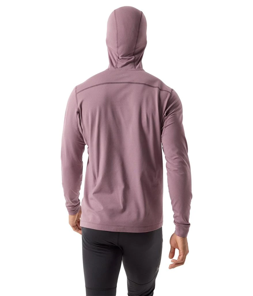 商品Arc'teryx|Rho LT 连帽衫,价格¥958,第2张图片详细描述