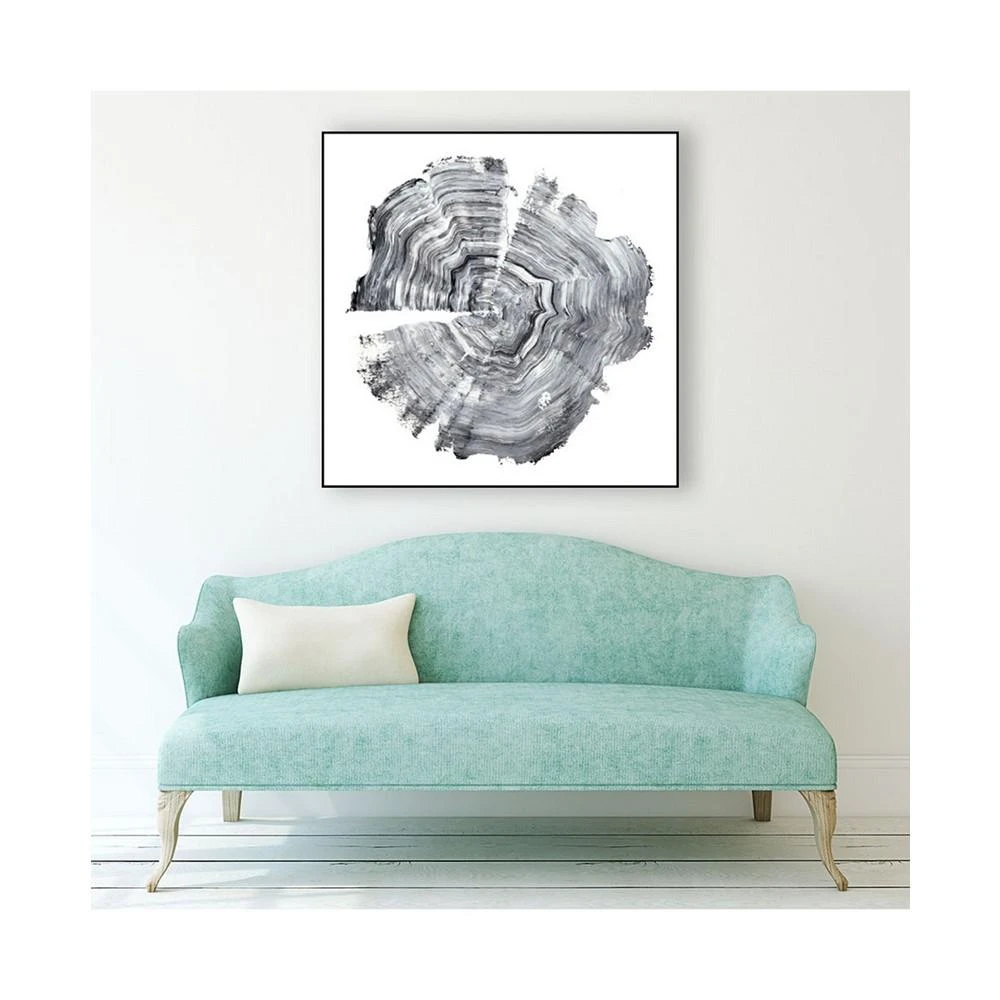 20" x 20" Tree Ring Abstract IV Art Block Framed Canvas 商品