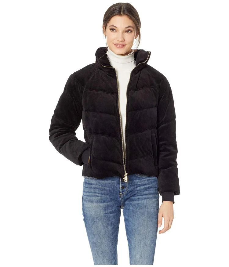 商品Juicy Couture|Track Velour Solid Quilted Puffer Jacket,价格¥743,第1张图片