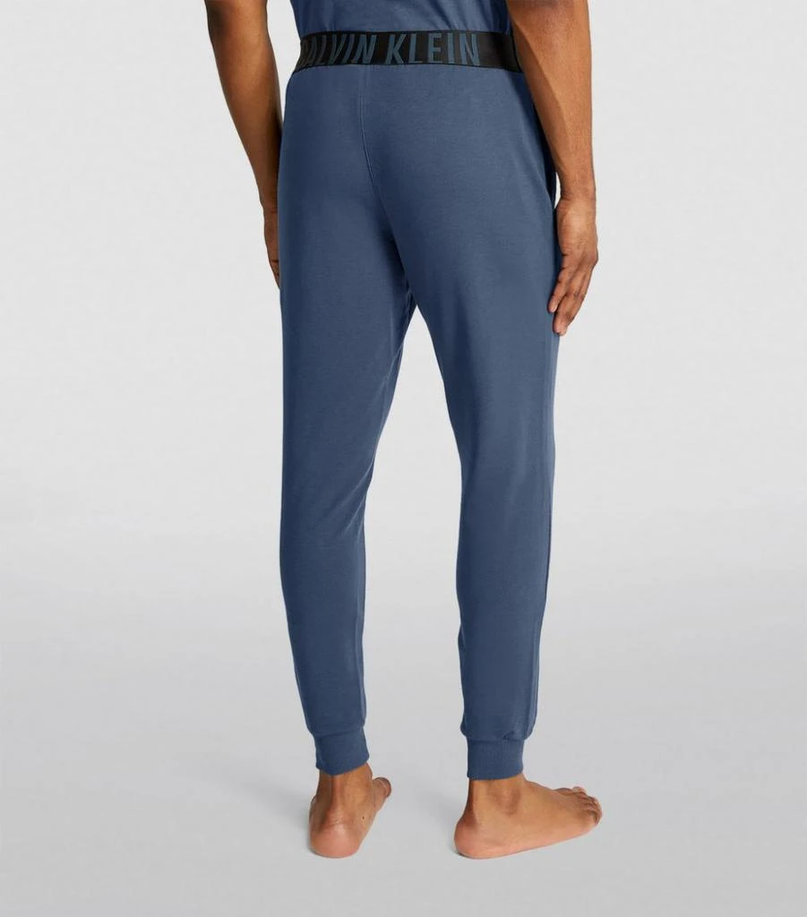 商品Calvin Klein|Intense Power Lounge Sweatpants,价格¥579,第4张图片详细描述