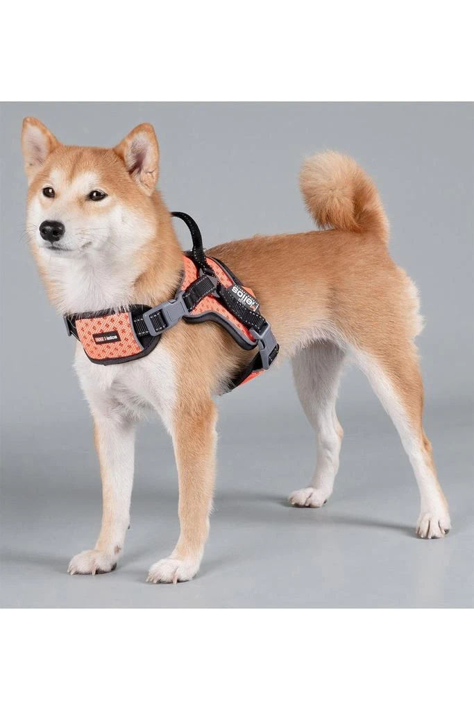 商品PET LIFE|Dog Helios 'Scorpion' Sporty High-Performance Free-Range Dog Harness - Small,价格¥284,第2张图片详细描述