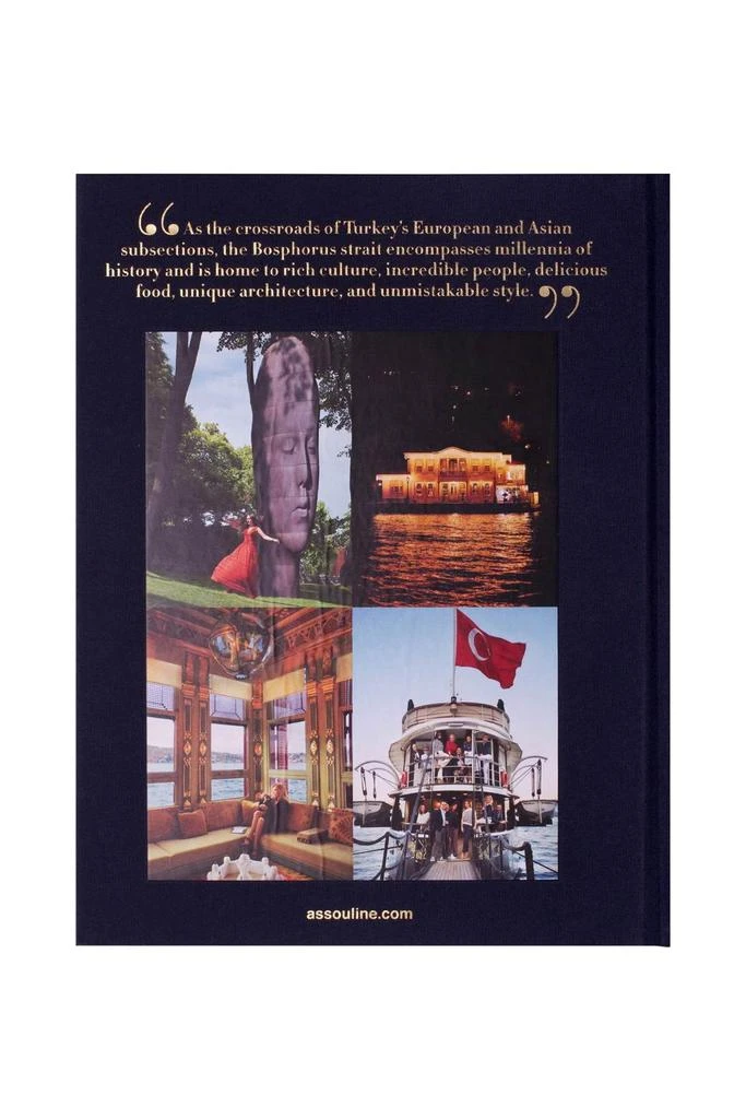 商品Assouline|private bosphorus,价格¥783,第2张图片详细描述
