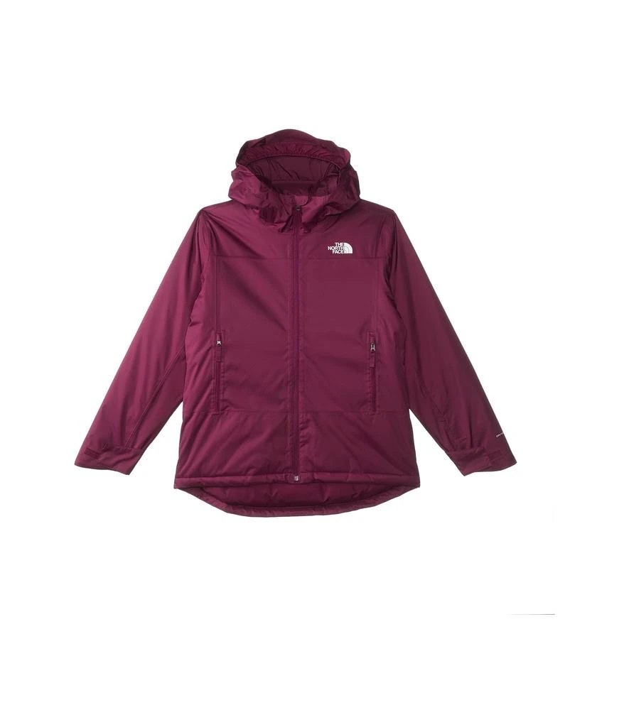 商品The North Face|Freedom Insulated Jacket (Little Kids/Big Kids),价格¥903,第1张图片