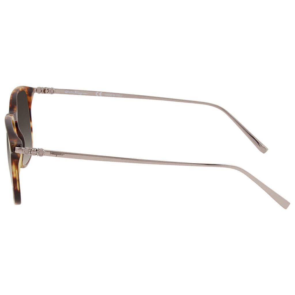 Grey Square Unisex Sunglasses SF2846S 219商品第3张图片规格展示