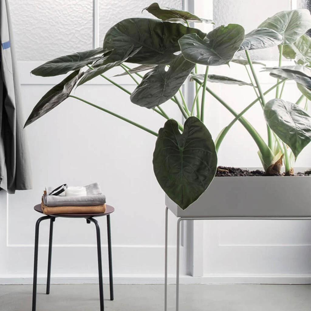 Plant Box and Side Table - Black 商品