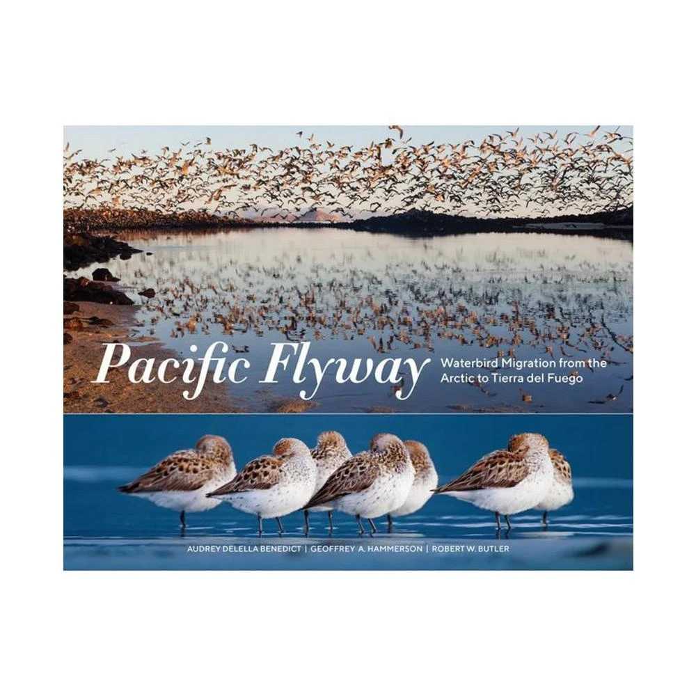 商品Barnes & Noble|Pacific Flyway - Waterbird Migration from the Arctic to Tierra Del Fuego by Audrey Delella Benedict,价格¥186,第1张图片