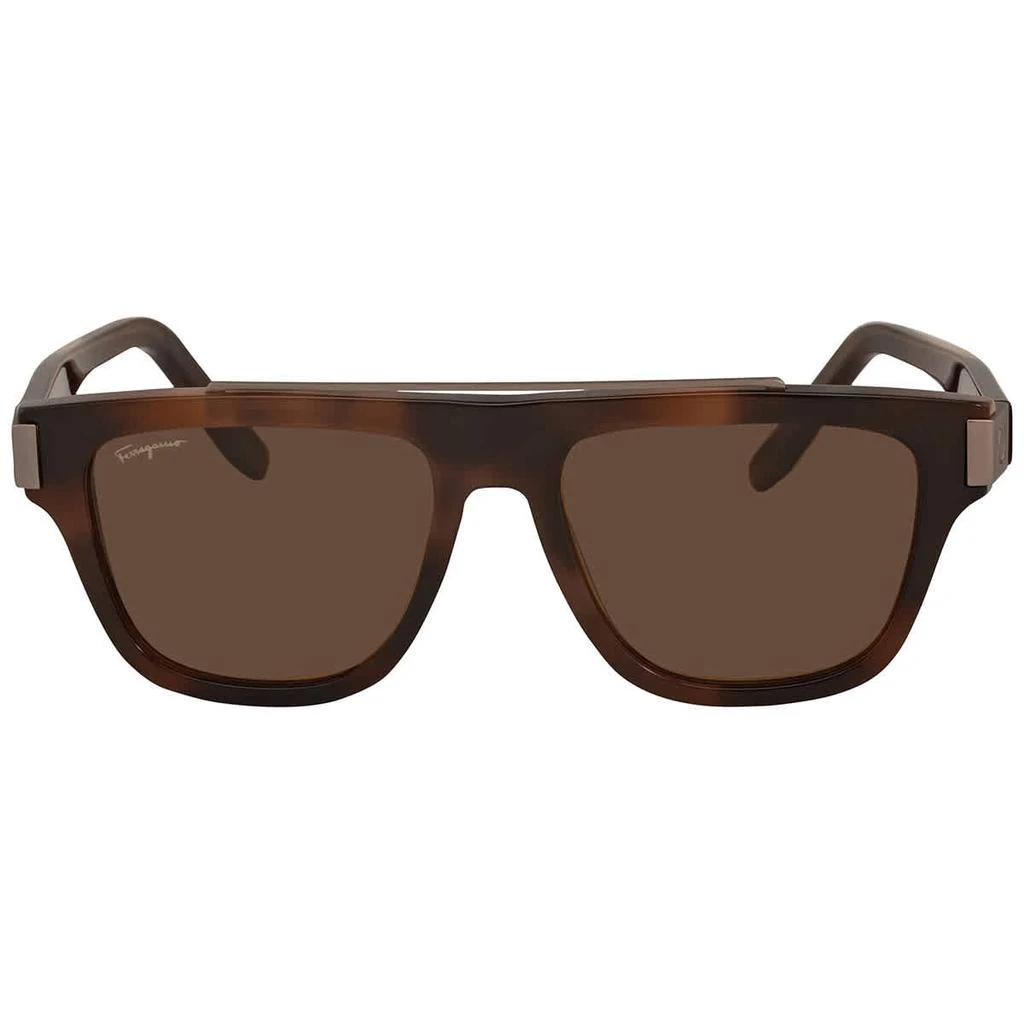 商品Salvatore Ferragamo|Salvatore Ferragamo Brown Browline Unisex Sunglasses SF1032S 229 54,价格¥598,第2张图片详细描述