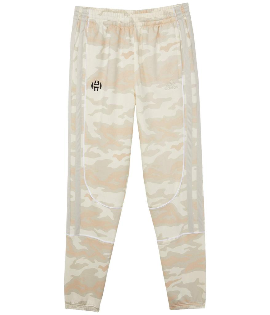 Harden Volume 5 Pants (Little Kids/Big Kids)商品第1张图片规格展示