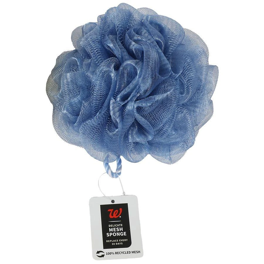 商品Walgreens|Delicate Mesh Bath Sponge,价格¥15,第1张图片