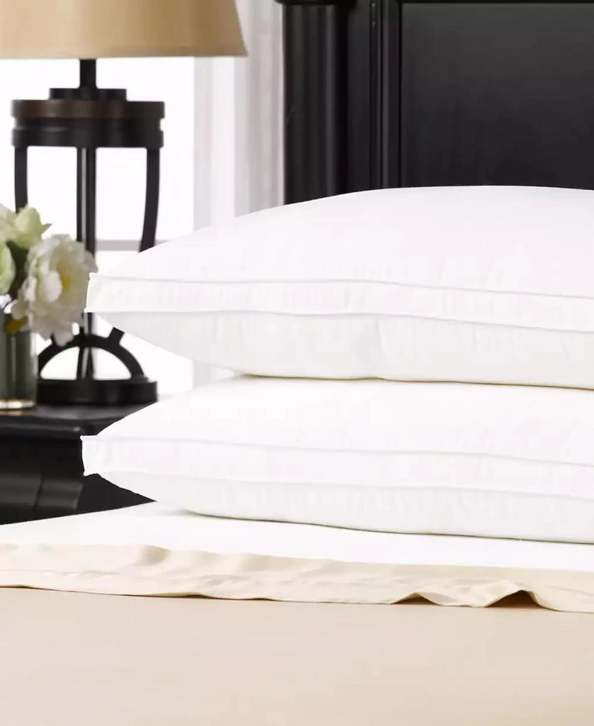 Gusseted Firm Plush Down Alternative Side/Back Sleeper 2-Pack Pillow, Standard 商品