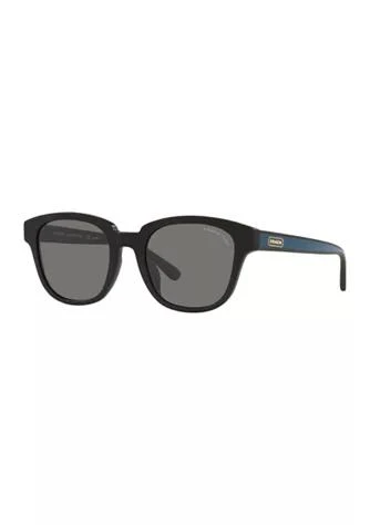商品Coach|Hc8340u C8003 Polarized Sunglasses,价格¥1107,第1张图片