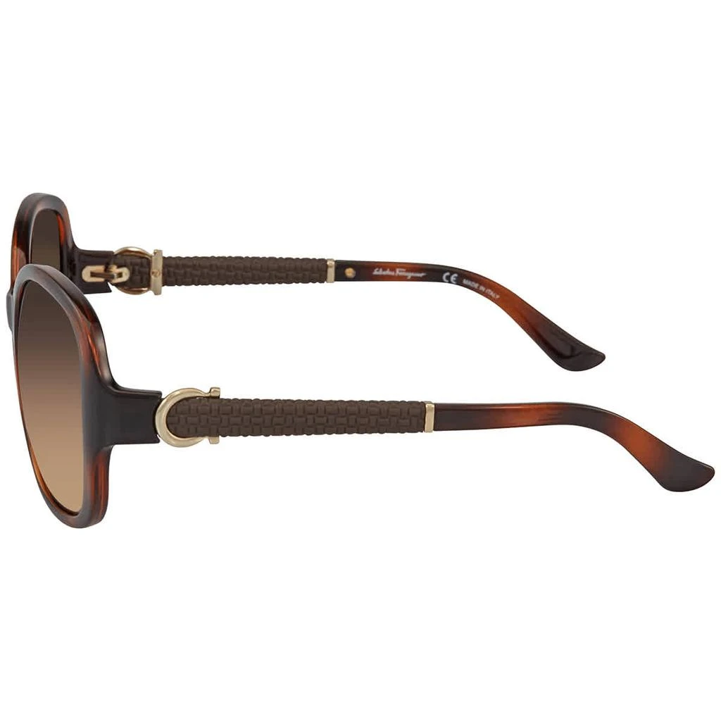 商品Salvatore Ferragamo|Brown Gradient Butterfly Sunglasses SF744SLA 214 59,价格¥442,第3张图片详细描述