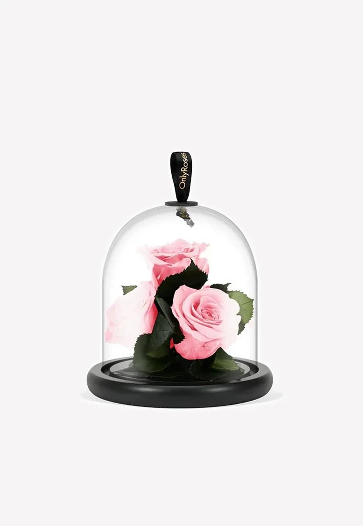 商品OnlyRoses|Infinite Rose Gem,价格¥2119,第1张图片