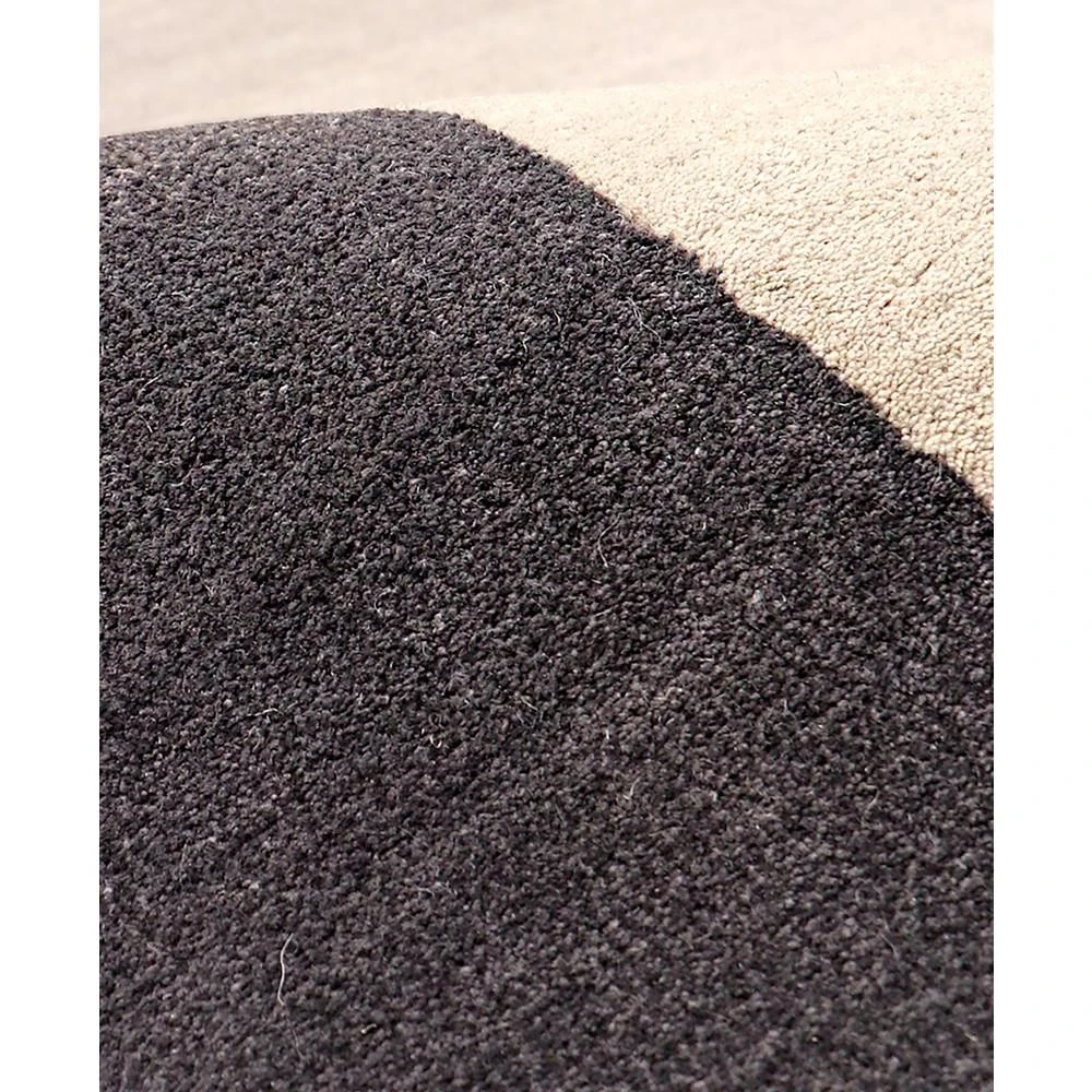 商品Pasargad Home|Rodeo PCC-01 9'9" x 13'9" Area Rug,价格¥32582,第4张图片详细描述