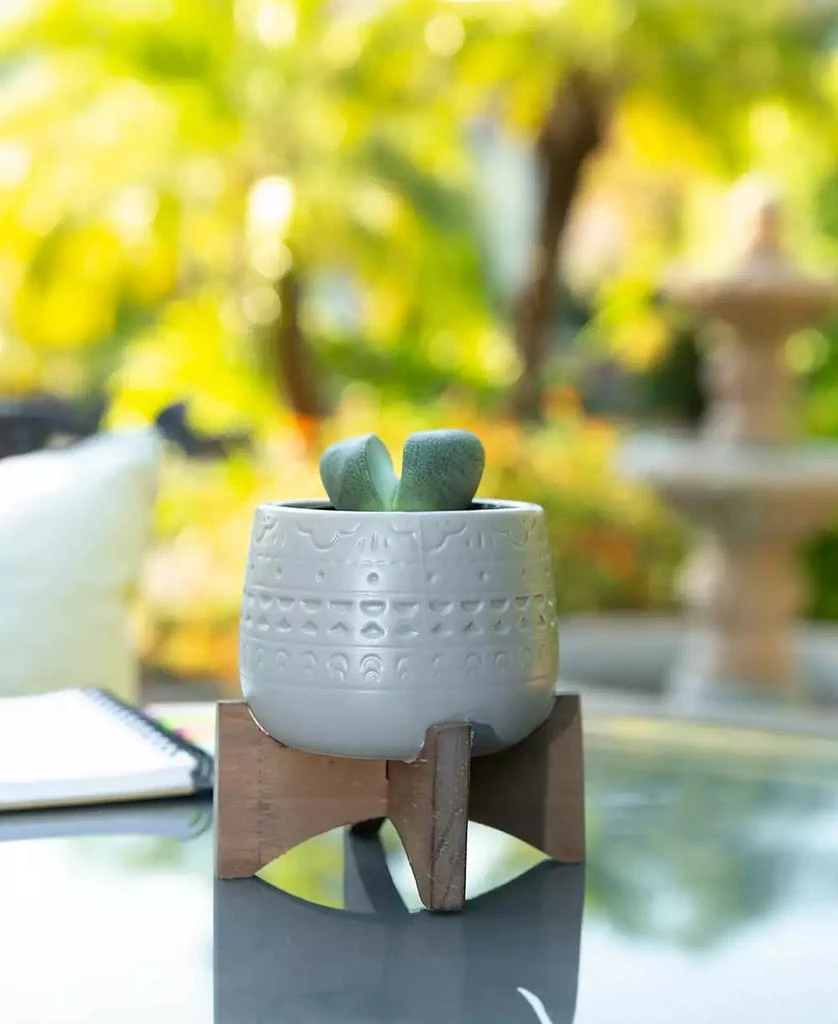 商品Flora Bunda|Mayan Ceramic Planter on Stand, 4.75",价格¥222,第3张图片详细描述
