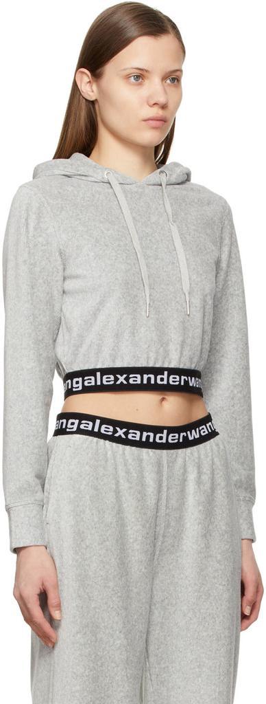 商品Alexander Wang|Grey Logo Elastic Hoodie,价格¥1873,第4张图片详细描述