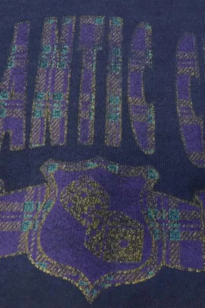 商品Urban Outfitters|Vintage Atlantic City Sweatshirt 001,价格¥519,第4张图片详细描述