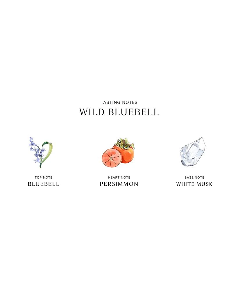 商品Jo Malone London|Wild Bluebell Cologne,价格¥1275,第3张图片详细描述