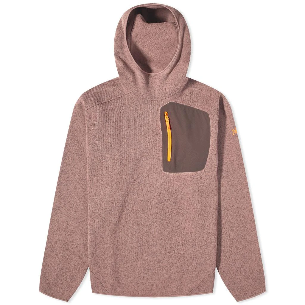 商品Arc'teryx|Arc'teryx Covert Pullover Hoodie,价格¥1595,第1张图片