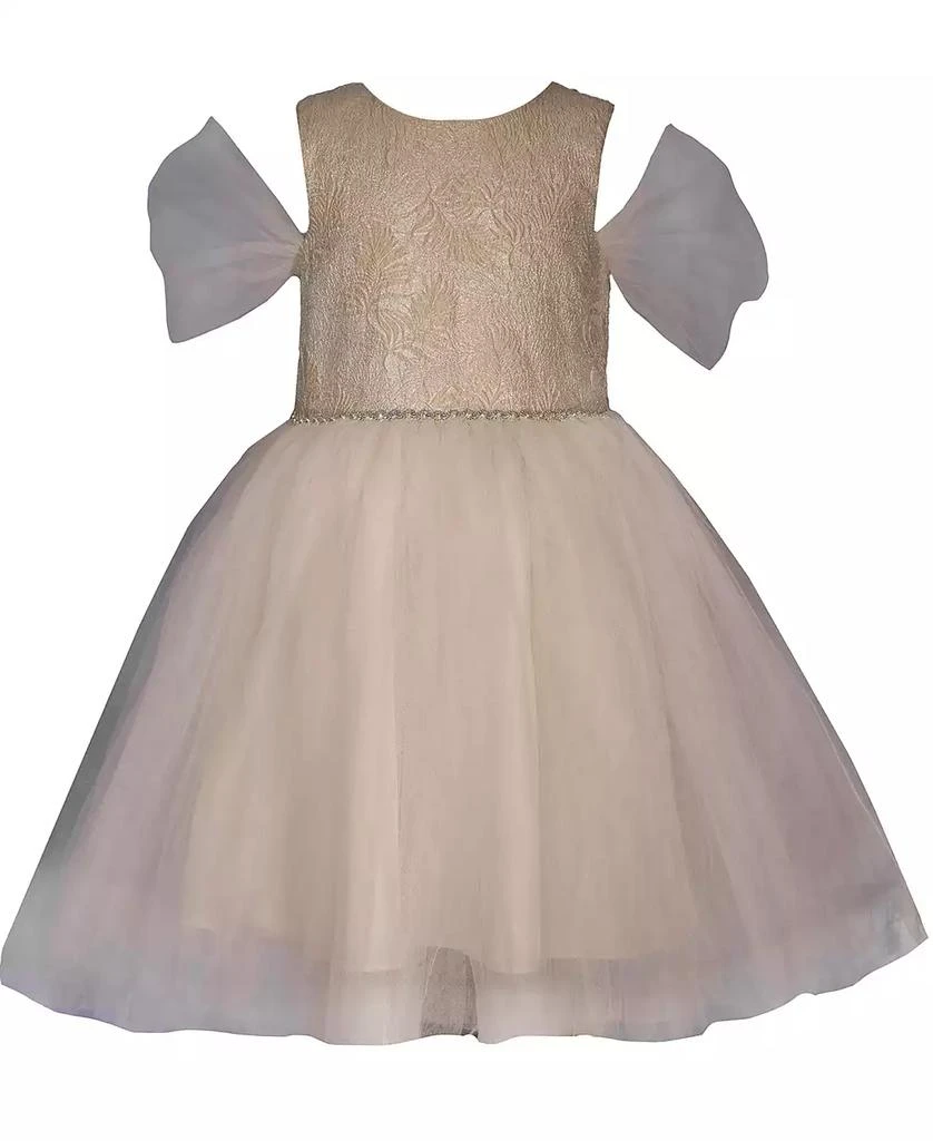 商品Bonnie Jean|Little Girls Mesh Ballerina Party Dress,价格¥579,第1张图片