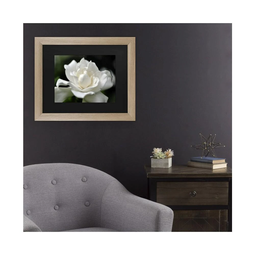 商品Trademark Global|Kurt Shaffer Lovely Gardenia Matted Framed Art - 27" x 33",价格¥449,第3张图片详细描述